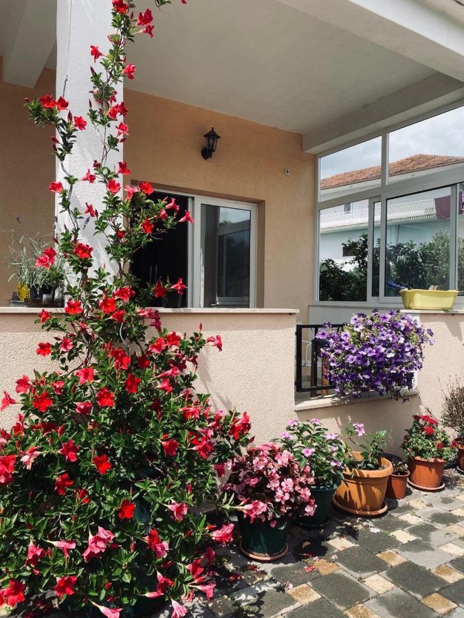 Apartments Vukman 希杰·弗朗吉卡 外观 照片